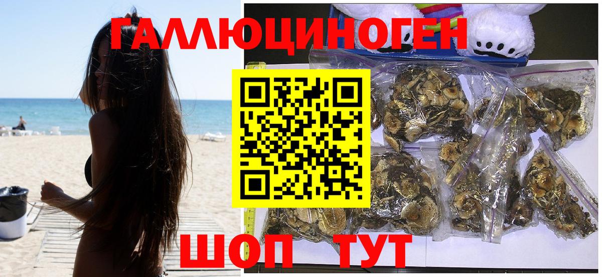 Галлюциногенные грибы мухоморы Октябрьский